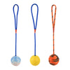 Pet Dogs Training Toy