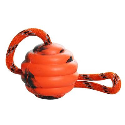 Pet Dogs Training Toy