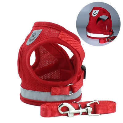 Dog Harness