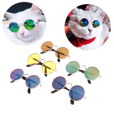 Cool Pet Glasses