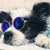 Cool Pet Glasses