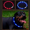 Led Dog Collar