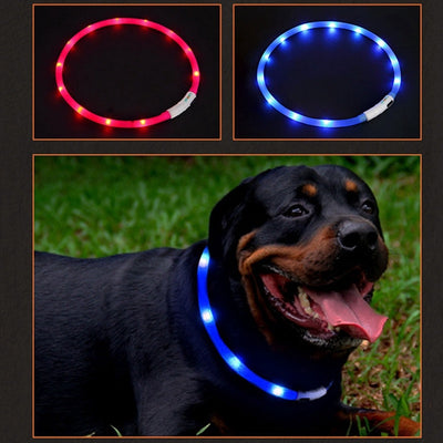 Led Dog Collar